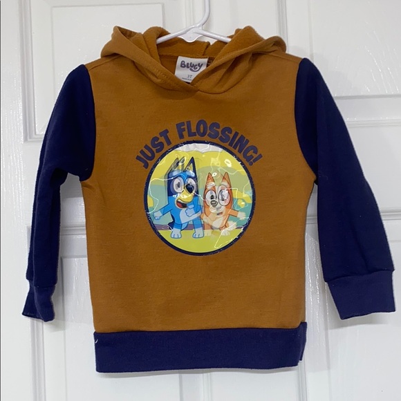 Kids  Bluey Hoodie - Brown and Blue
The picture dances when moved - Picture 1 of 4